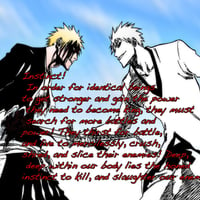 Ichigo Vs Ichigo