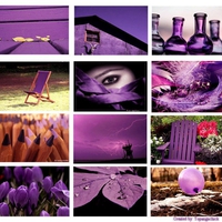 Purple Collage