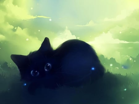 Black kitten