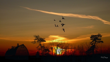 End of the Day - sky, farm, trees, sunset, country, clouds, firefox persona, birds, barn