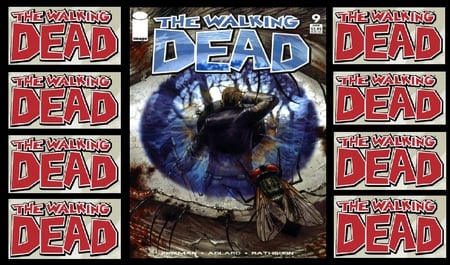 THE WALKING DEAD #9 - the walking dead, the walking dead comic, rick, eye, fly