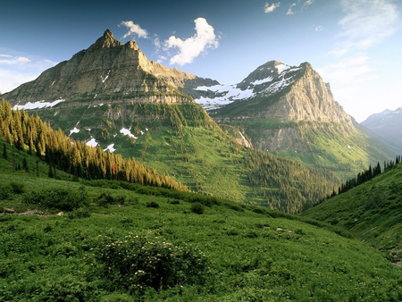 Glacier national park - national, trees, snowy, snow, grass, mountain, nature, green, glacier, park