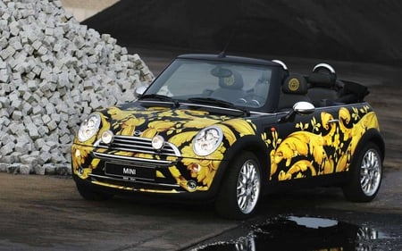 Mini Cooper Versace Cabrio - cabrio, mini, versace, cooper