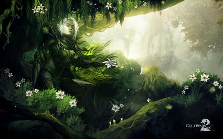 Guild Wars 2 - beauty, forest, gild wars 2, greenery, green girl