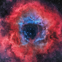 Beautiful Galaxy # The Rosette Nebula #