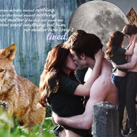 NEW MOON