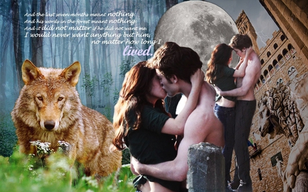 NEW MOON - wolf, twilight, bella, animals, edward, new moon