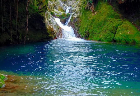 Colouring cascade - trees, color water, cascade, rocks, colouring