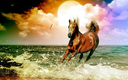 Arabian horse - sky, horse, clouds, arabian, sea