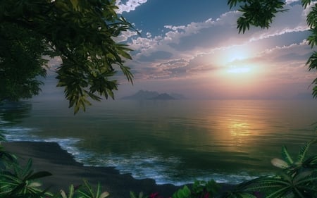 Sunrise over the sea - trees, over, sunrise, plants, sea