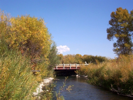 River Bridge - autumn, trees, river, water, color, bridge