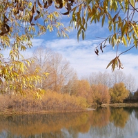 Autumn Reflection