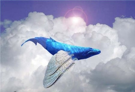 MASTER OF THE SKY - clouds, whale, fantasy, animal, photoshop, cool, sky, hybrid