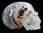 TRANSLUCENT AGATE CRYSTAL SKULL