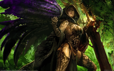 Fantasy - pretty, female, warrior, wing, angel, forest, kekai kotaki, art, video game, guild wars 2, game, girl, sword, beauty, cg, fantasy, guild wars, sexy