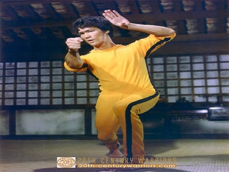 BRUCE LEE - action, actors, movies, usa