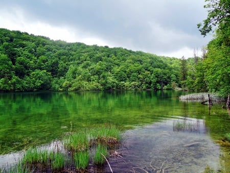 Beautiful lake - plitvice, lake, landscape, croatia