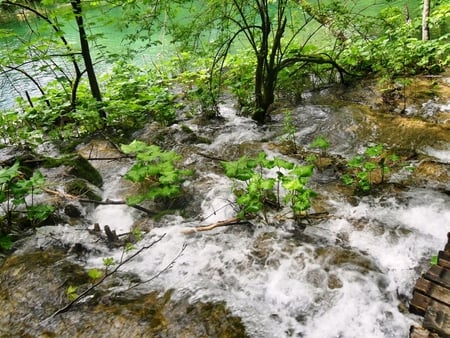 In Plitvice - nature, plitvice, landscape, croatia, beautiful, water, spring