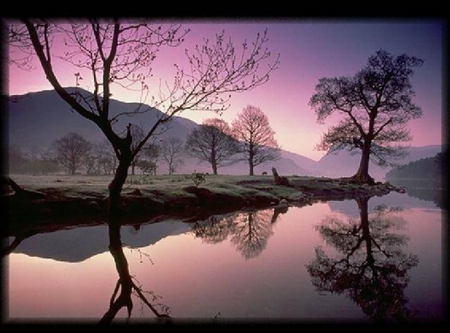 Purple lake - purple, lake, purple lake, trees