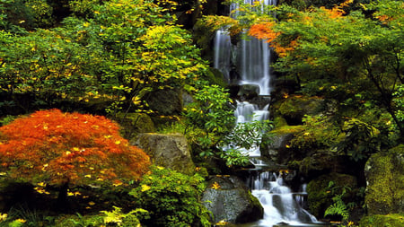 Autumn Waterfall - nature, autumn, fall, mountain, forest, river, stream, waterfall