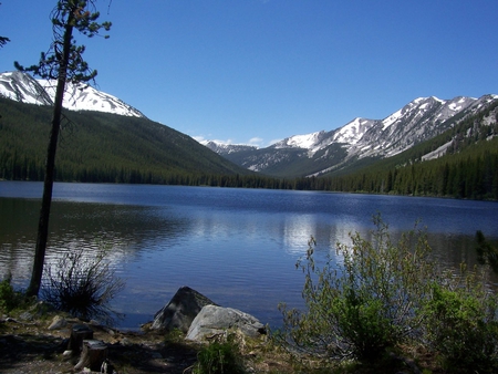 Springtime in the Rockies - trees, water, snow, lake, mountains, reflection