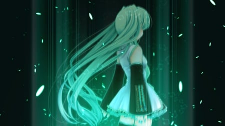 Hatsune Miku - aqua, hot, thighhighs, music, anime girl, stockings, white, art, cool, petals, aqua eyes, artistic, hatsune miku, summon, sexy, skirt, leggings, light, song, vocaloids, program, glow, vocaloid, beautiful, uniform, diva, beauty, nice, twintail, singer, aqua hair, long socks, black, virtual, pretty, idol, anime, miku, cute, girl, cg, hatsune, blue, tie, awesome, digital, outfit