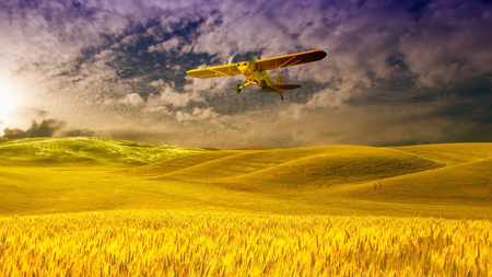 Yellow Flyer - clouds, airplane, yellow, beautiful, fields, sky