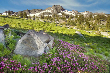 Mountain pass - nature, mountain, pass, flowers, grass