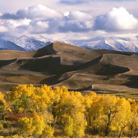 Dunes and fall colors