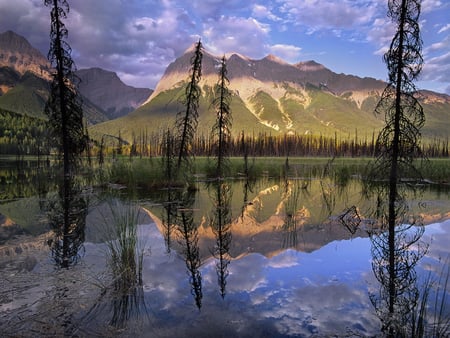 The beauty of Canadian nature - lake, national park, water, reflection, canada, nature, mountain