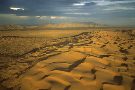 Desert in Mexico - nature, desert, mexico, notrh america, sands