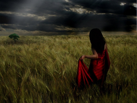 Field Of Hope - woman, people, dark, red, clouds, field, dress