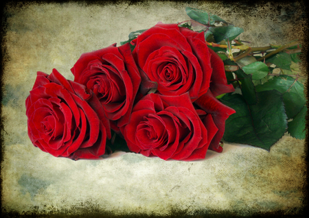 red roses - red roses, bouquet, still life, texture