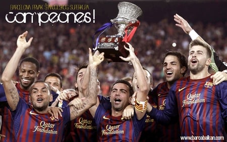 FC Barcelona 2012 - barca, xavi, messi, bojke