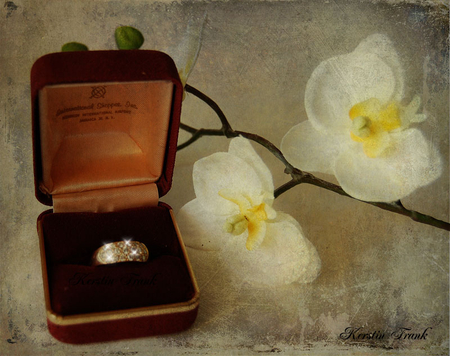 A Golden Ring - flowers, white orchids, golden ring, texture, still life