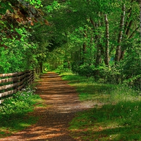 Path-HDR