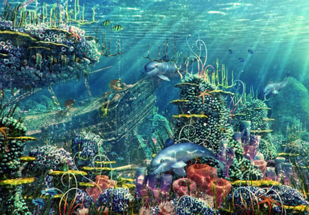 in_the_depths_of_the_ocean - corals, sea, fishes, underwater