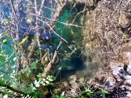 Clear water - plitvice, lake, croatia, spring