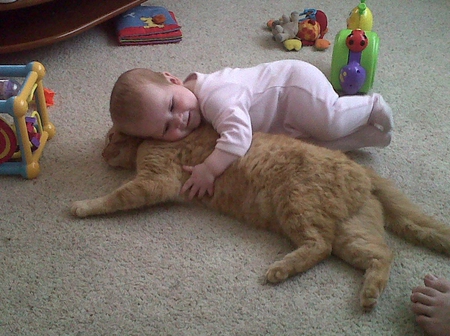 hug - hug, baby, sweet, cat