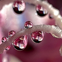 Water drop 2