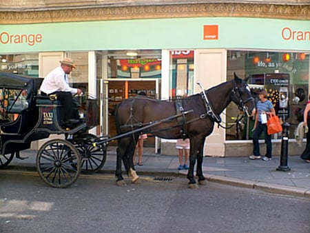 Horse Drawn Taxi - holiday, taxi, horse, bath