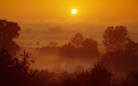 Fog at Sunset - beauty, view, beautiful, fog, sunset