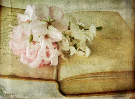 Grandmother*s book - grandmother, book, flowers, texture, still life