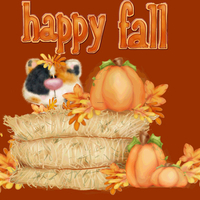 HAPPY FALL TWO YOU ALL