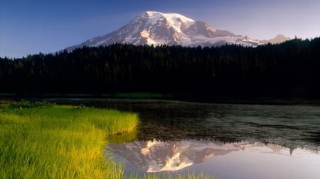 Snow Mountain Reflection - mountain, reflection, snow, grass, splendid