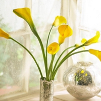 Yellow Lillies in a Silver Vase