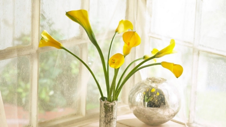 Yellow Lillies in a Silver Vase - silver, yellow, lillies, vase