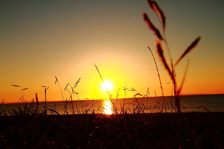 sunrise on the beach - water, beach, sunrise, sun