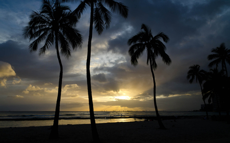 Evening stroll - trees, ray, beach, sea, light, sky