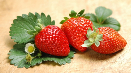 fresh strawberries - fresh, strawberries, fruits, red